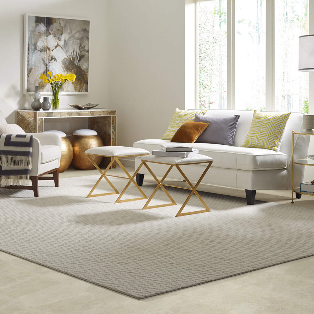 Rug | DeHaan Tile & Floor Covering