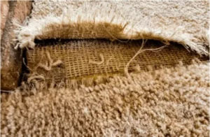 Carpet rips | DeHaan Tile & Floor Covering