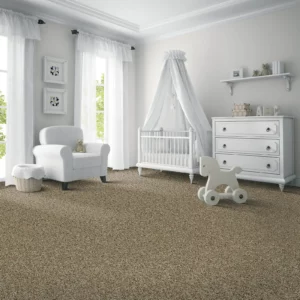 Kids room Carpet | DeHaan Tile & Floor Covering