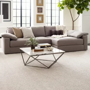 Living room Carpet | DeHaan Tile & Floor Covering