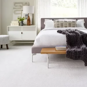 Bedroom Carpet flooring | DeHaan Tile & Floor Covering