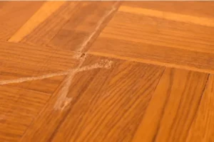 Floor Scratches | DeHaan Tile & Floor Covering