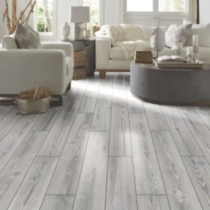 Living room tile floor | DeHaan Tile & Floor Covering