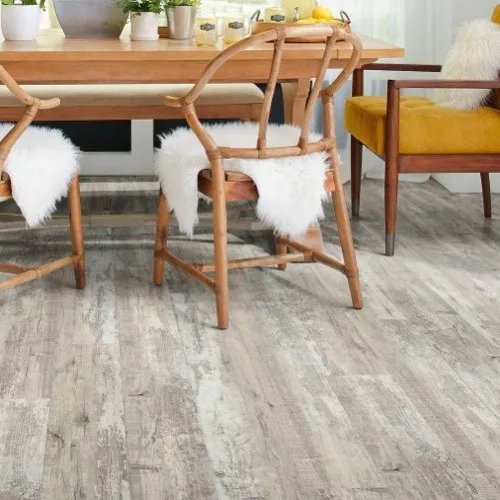 Carpet cleaning | DeHaan Tile & Floor Covering