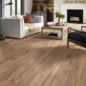 Living room laminate | DeHaan Tile & Floor Covering